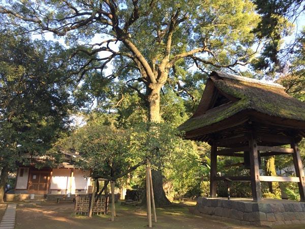 Masutomi Ryokan Hakone Eksteriør billede